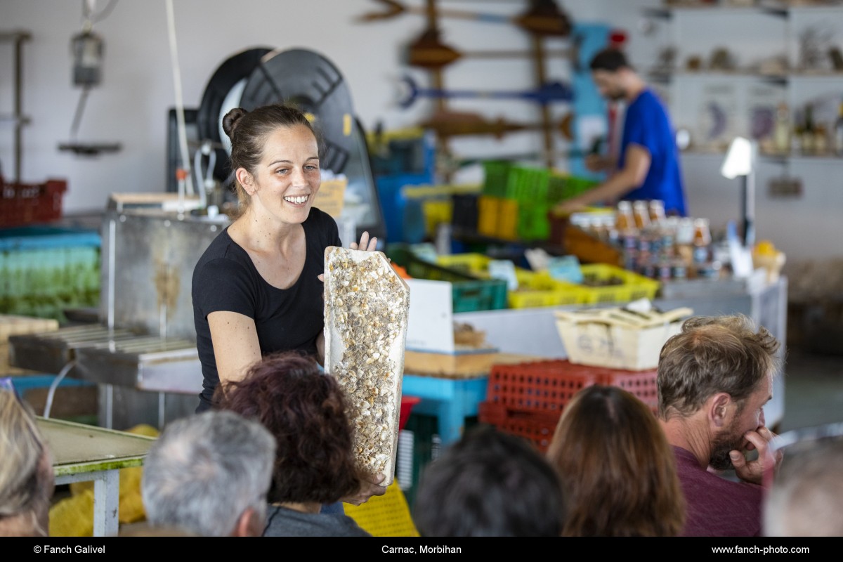 Dégustation d'huitres chez l'ostéiculteur TIBIDY à Carnac