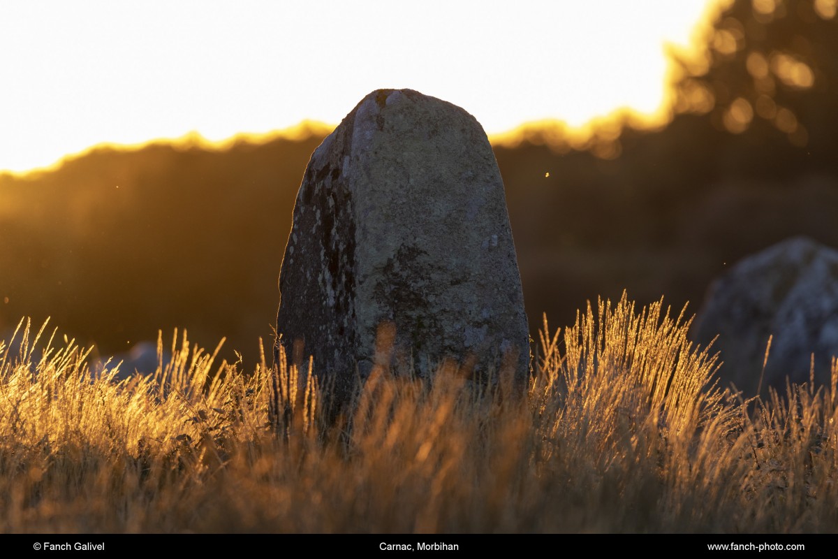 Alignements du Ménec à Carnac