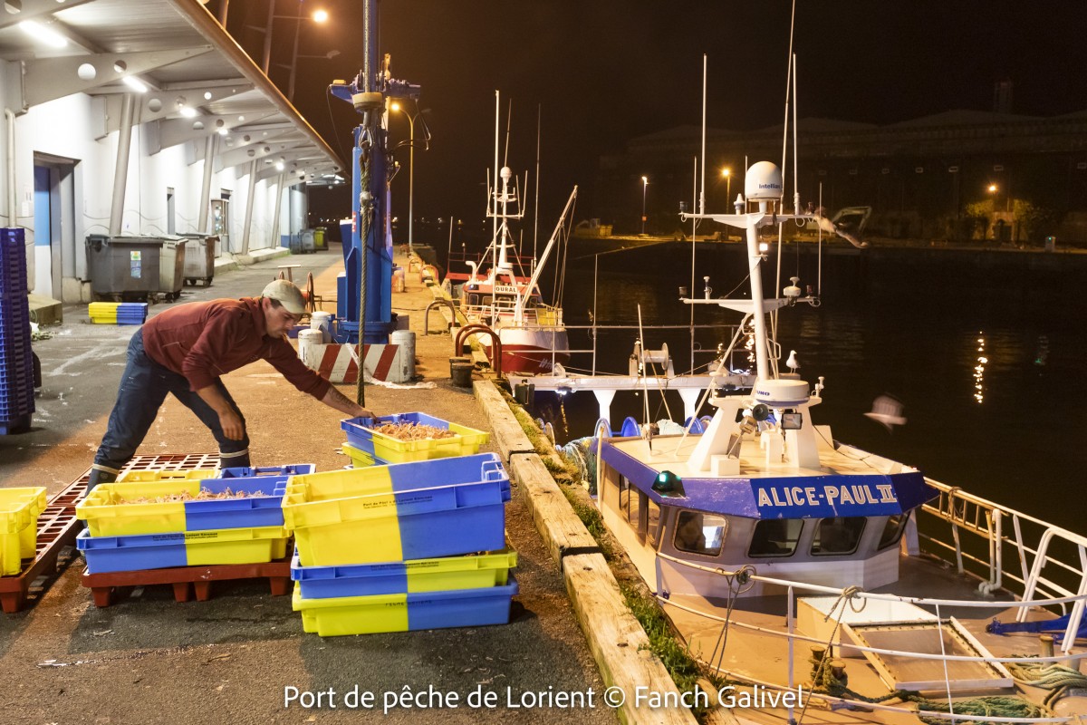 Port de pêche de Lorient