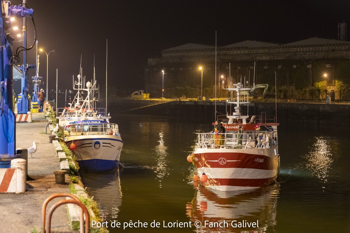 Port de pêche de Lorient