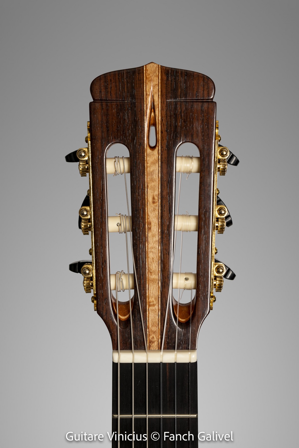Vinicius _ Guitare classique. Luthier : Vincent Jannot
