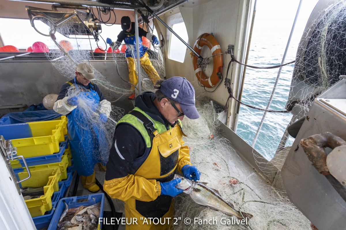 Pêche en mer à bord du fileyeur "Atout 2" au sud de l'ile de Groix