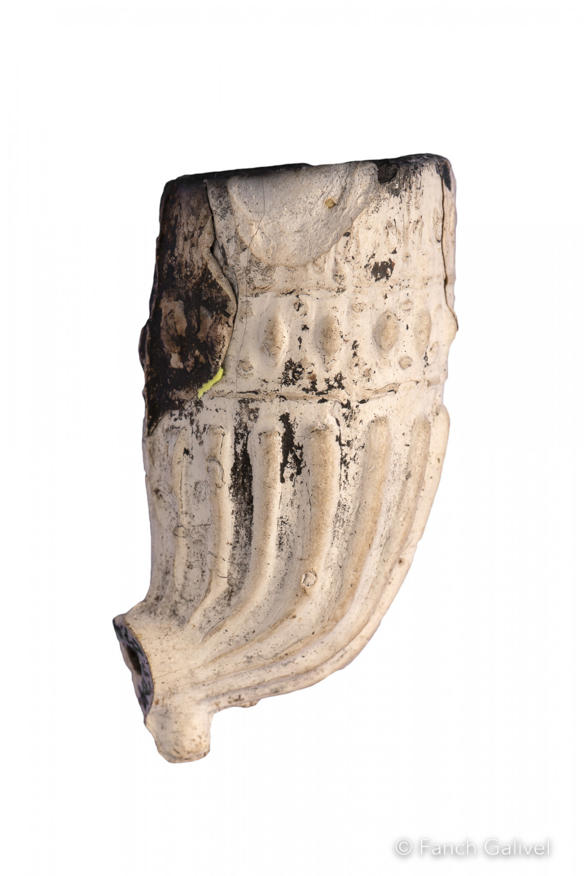 Pipe _ iles Kerguelen