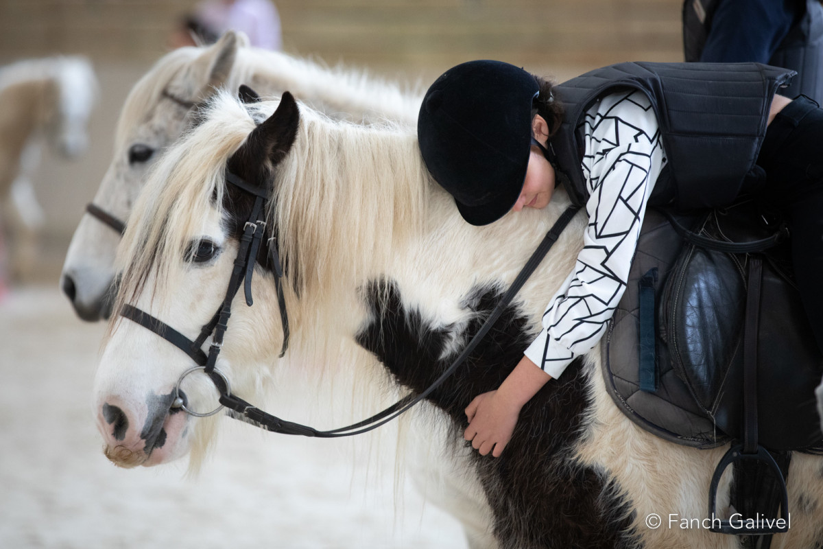 Centre équestre de Lann Er Roch à Ploemeur