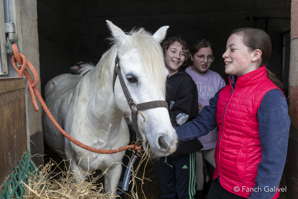 Centre équestre de Lann Er Roch à Ploemeur