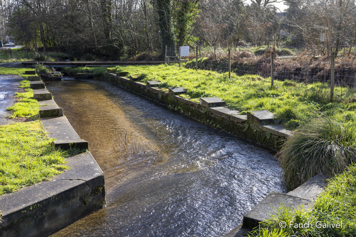 Balade des lavoirs à Languidic
