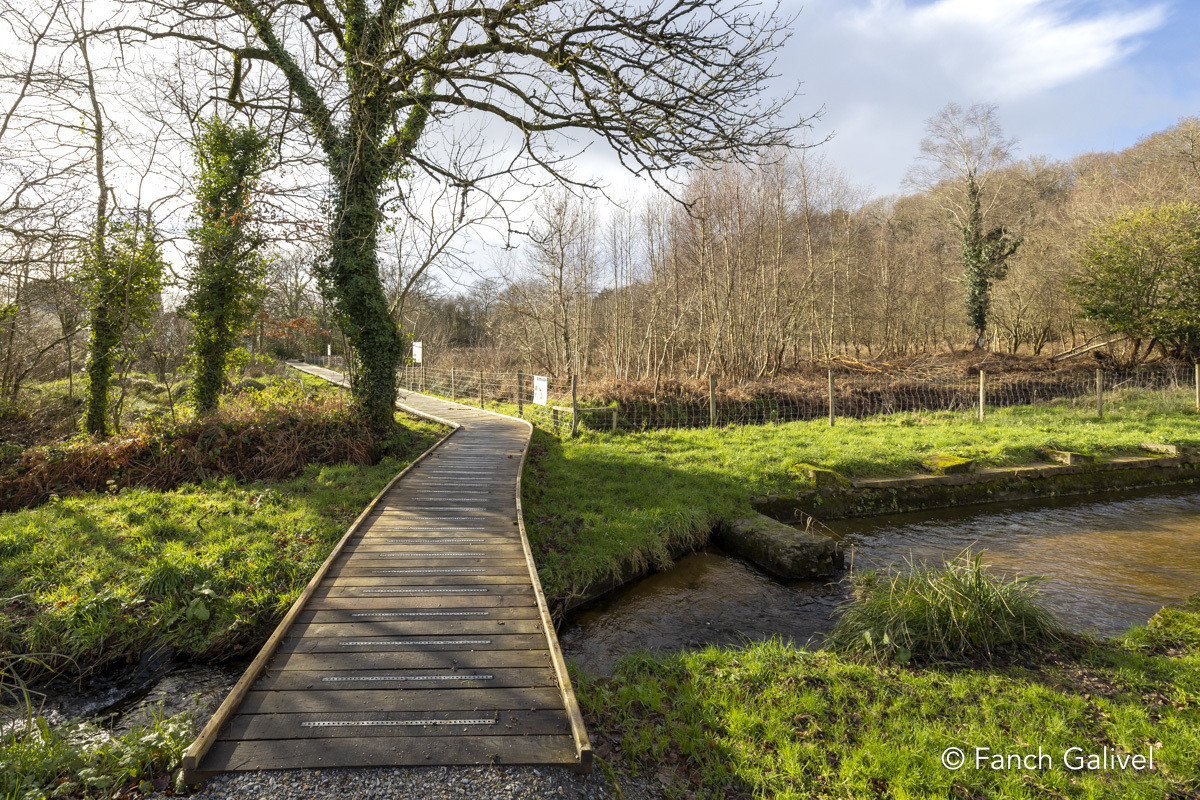 Balade des lavoirs à Languidic