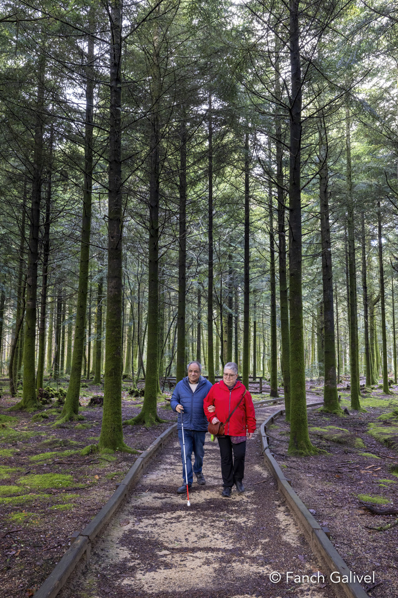 Parcours sensoriel de la forêt de Trémelin à Inzinzac-Lochrist. La balade de la charbonnière est aménagée pour les personnes en situation d'handicap