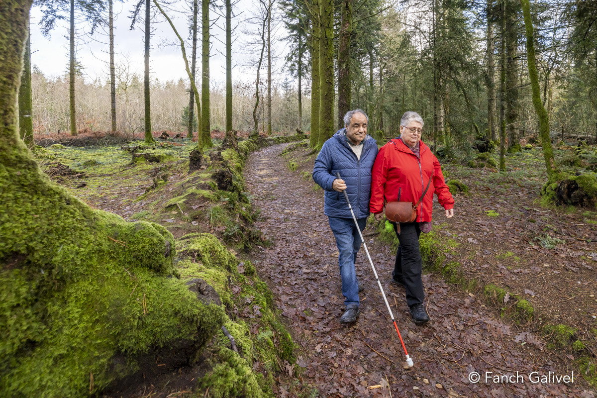 Parcours sensoriel de la forêt de Trémelin à Inzinzac-Lochrist. La balade de la charbonnière est aménagée pour les personnes en situation d'handicap