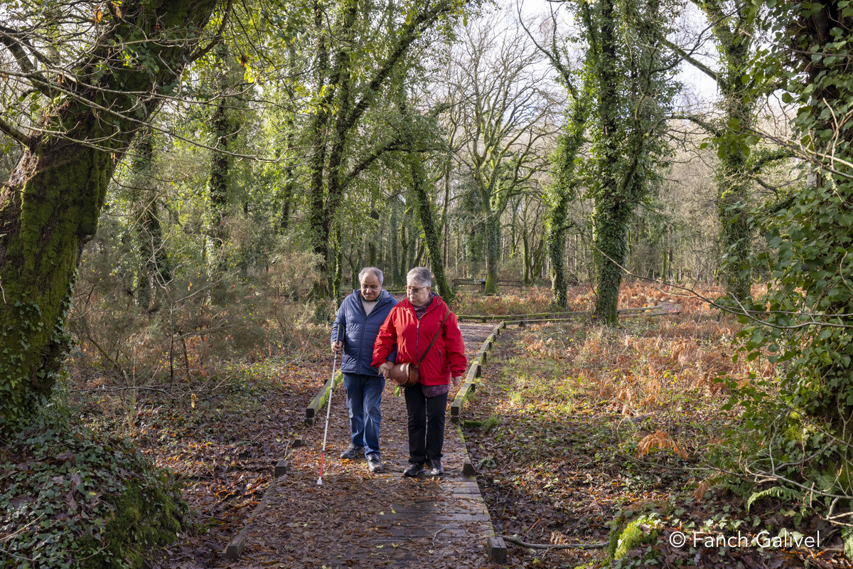 Parcours sensoriel de la forêt de Trémelin à Inzinzac-Lochrist. La balade de la charbonnière est aménagée pour les personnes en situation d'handicap