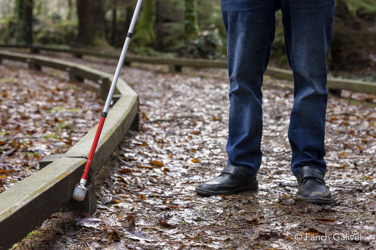Parcours sensoriel de la forêt de Trémelin à Inzinzac-Lochrist. La balade de la charbonnière est aménagée pour les personnes en situation d'handicap
