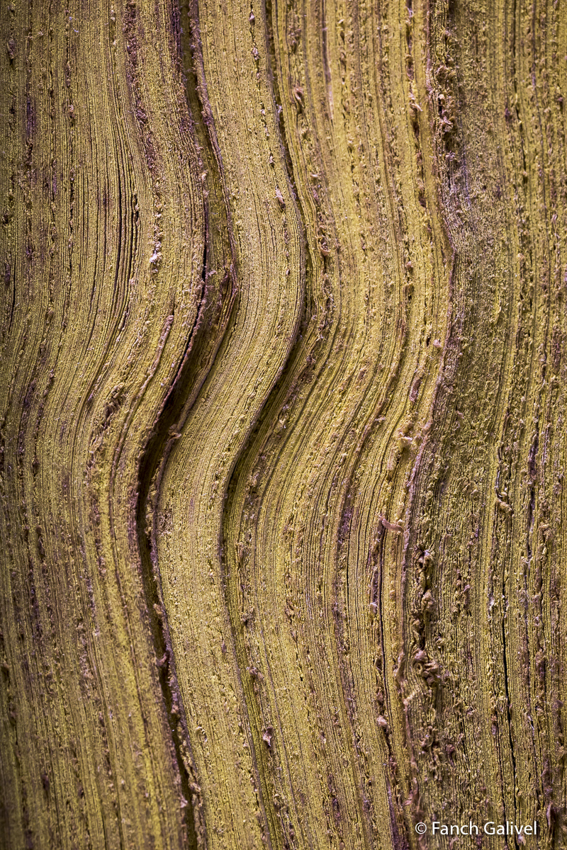 Documents. Archives départementales du Morbihan