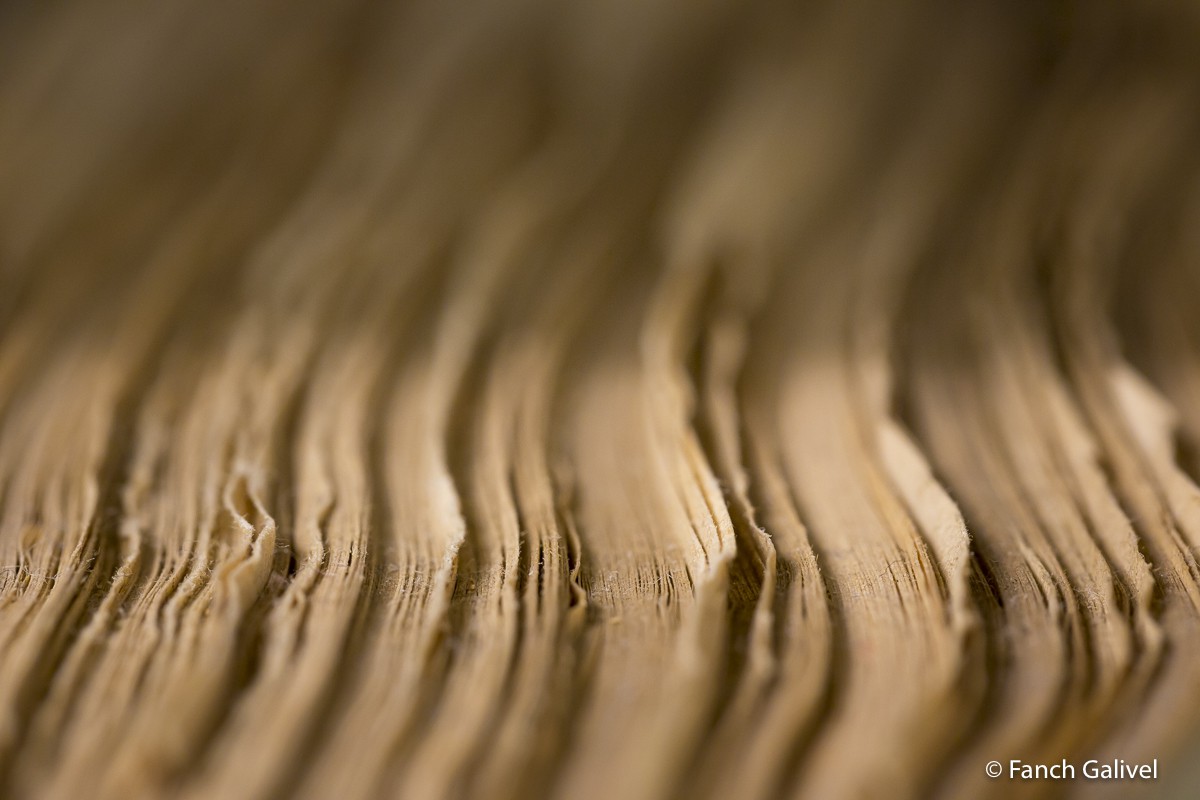 Documents. Archives départementales du Morbihan