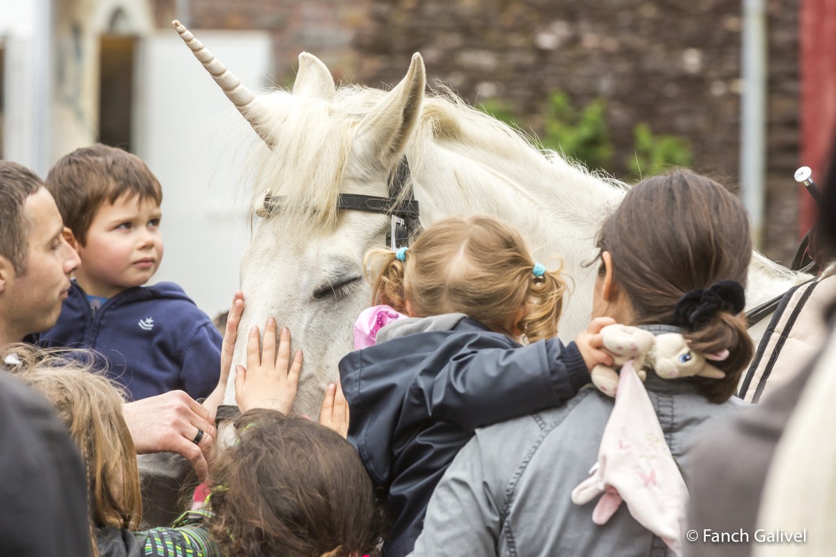 Fête de la Bretagne 2016_Chateau de Comper_La Pentecôte du Roi Arthur . Apparition Féerique