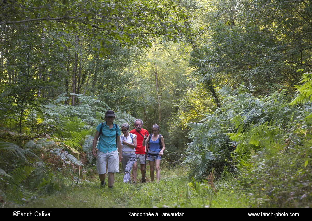 Randonnée pédestre dans les bois et les landes de Lomelec sur la commune de Lanvaudan.