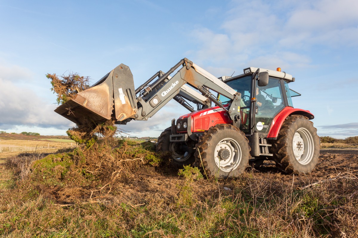Entretien de la dune grise au Loch_Guidel