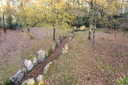 Allée couverte de Luffang Tal-er-Roch à Crach.
