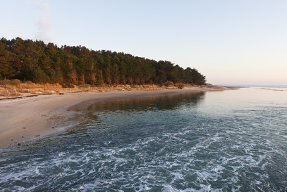 bois du Poulbert _ la Trinite sur mer