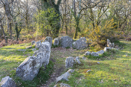 Le site mégalithiques de Mané Roulad à Ploemel