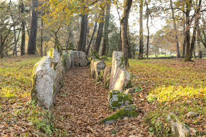 Allée couverte de Luffang Tal-er-Roch à Crach.