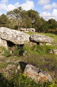 The dolmens of Mané-Bras in Erdeven