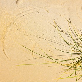 Jeux de lumière dans les dunes de sable d'Erdeven