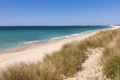 The beach of Lines in Gâvres