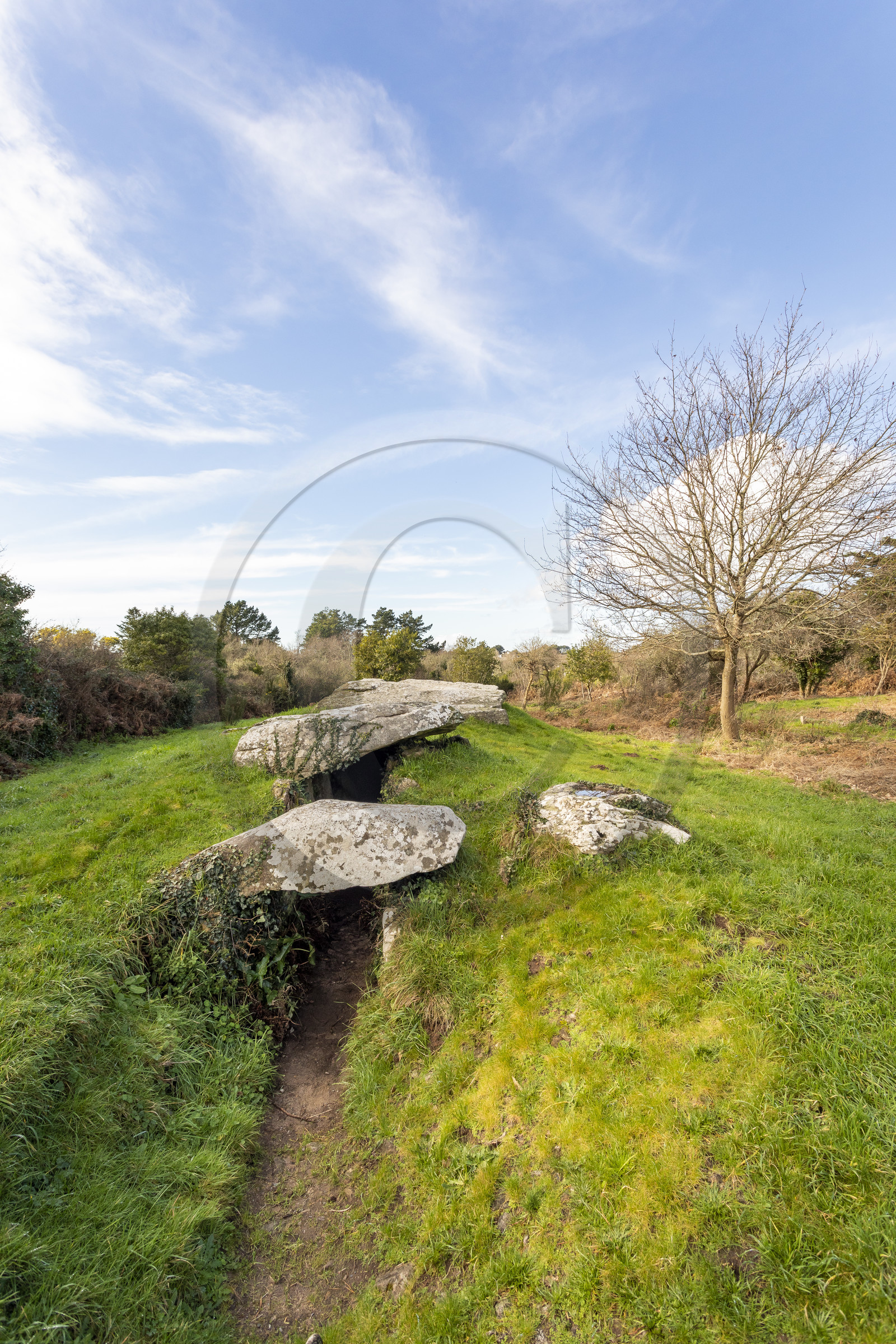 Dolmen du Graniol à Arzon