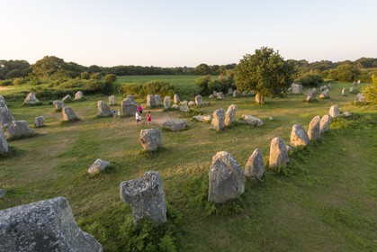 Alignements de Kerzerho _ Erdeven