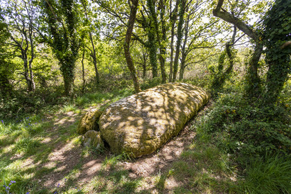 Dolmen de Men Hiaul (Kerblay) à Sarzeau