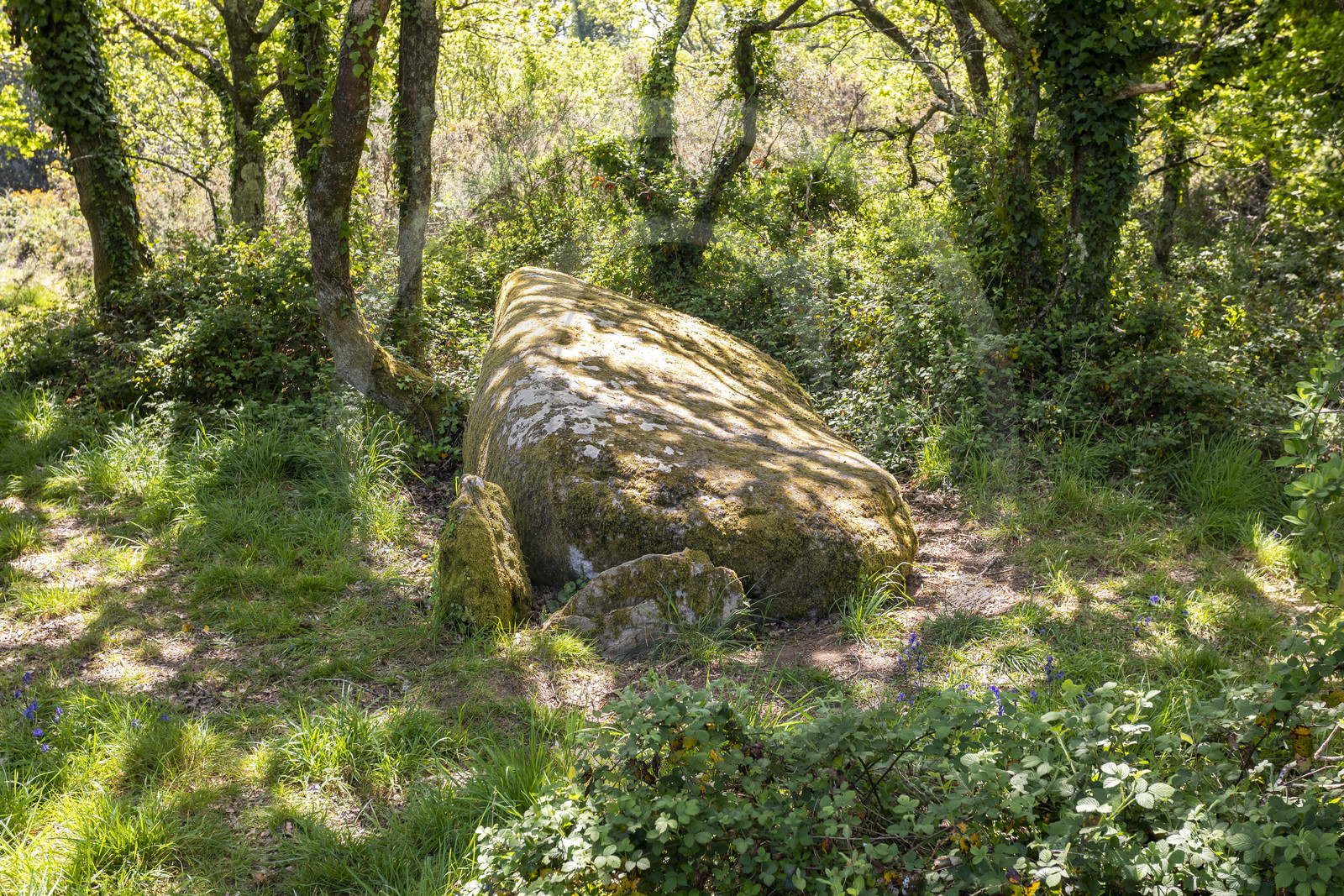Dolmen de Men Hiaul (Kerblay) à Sarzeau