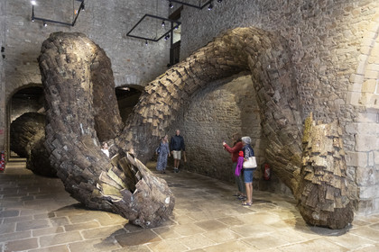 Museum of the Cohue in Vannes_ Exhibition of a work of Simon Augade