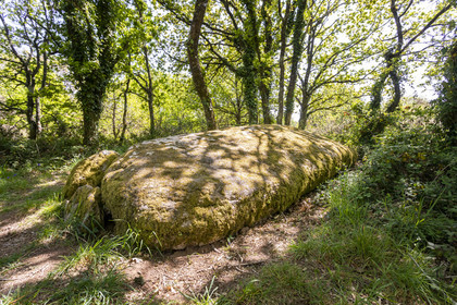 Dolmen de Men Hiaul (Kerblay) à Sarzeau