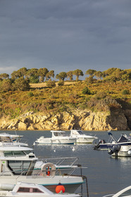 Estuaire de L'Aven à proximité de la pointe de Penquernéo