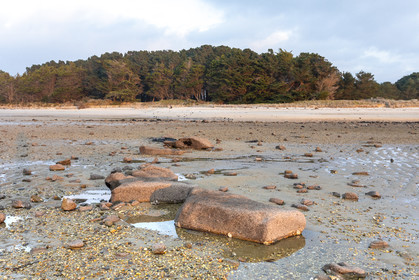 Alignments Kerdual in La Trinité sur Mer
