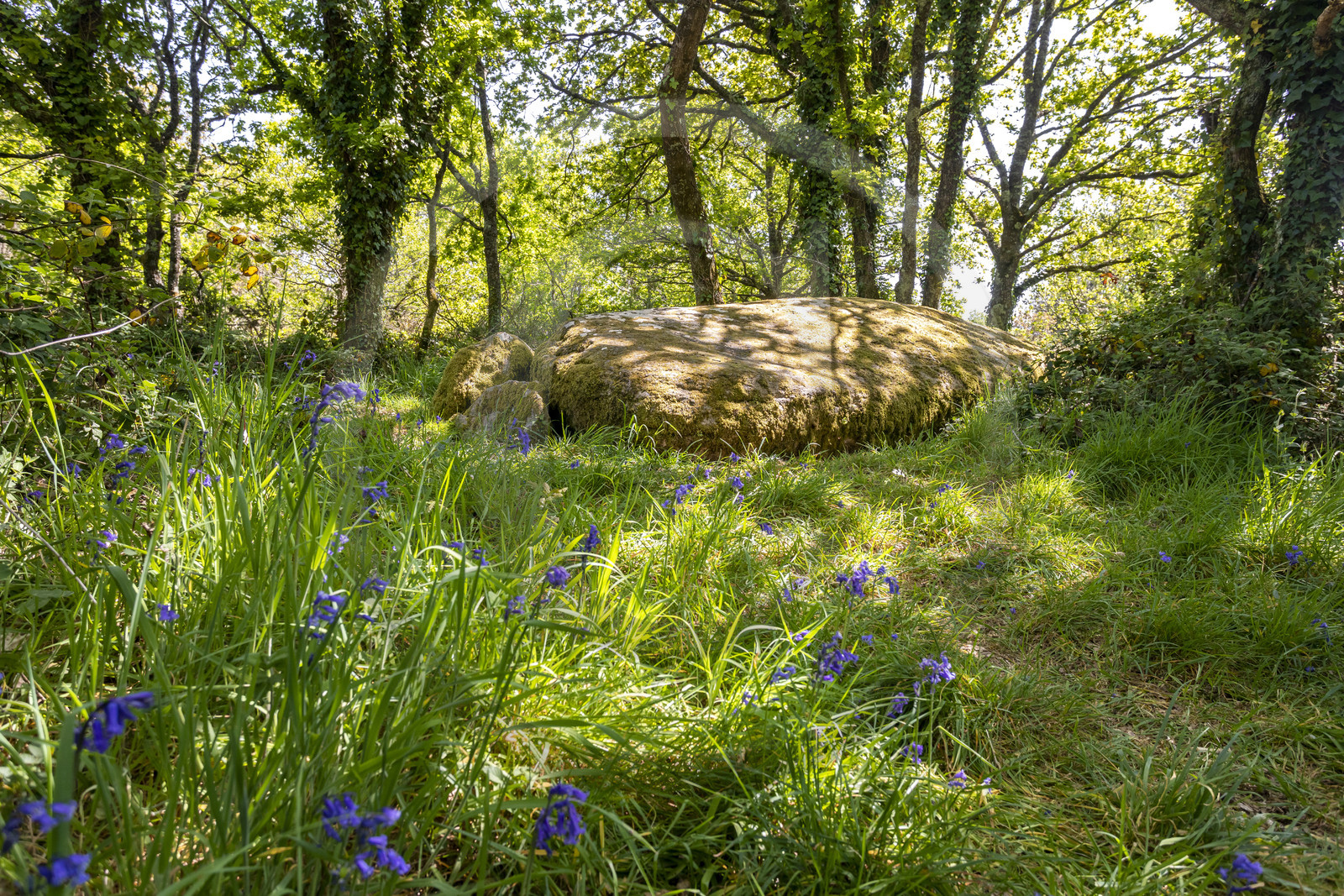 Dolmen de Men Hiaul (Kerblay) à Sarzeau