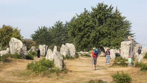 Alignements de Kerzerho _ Erdeven