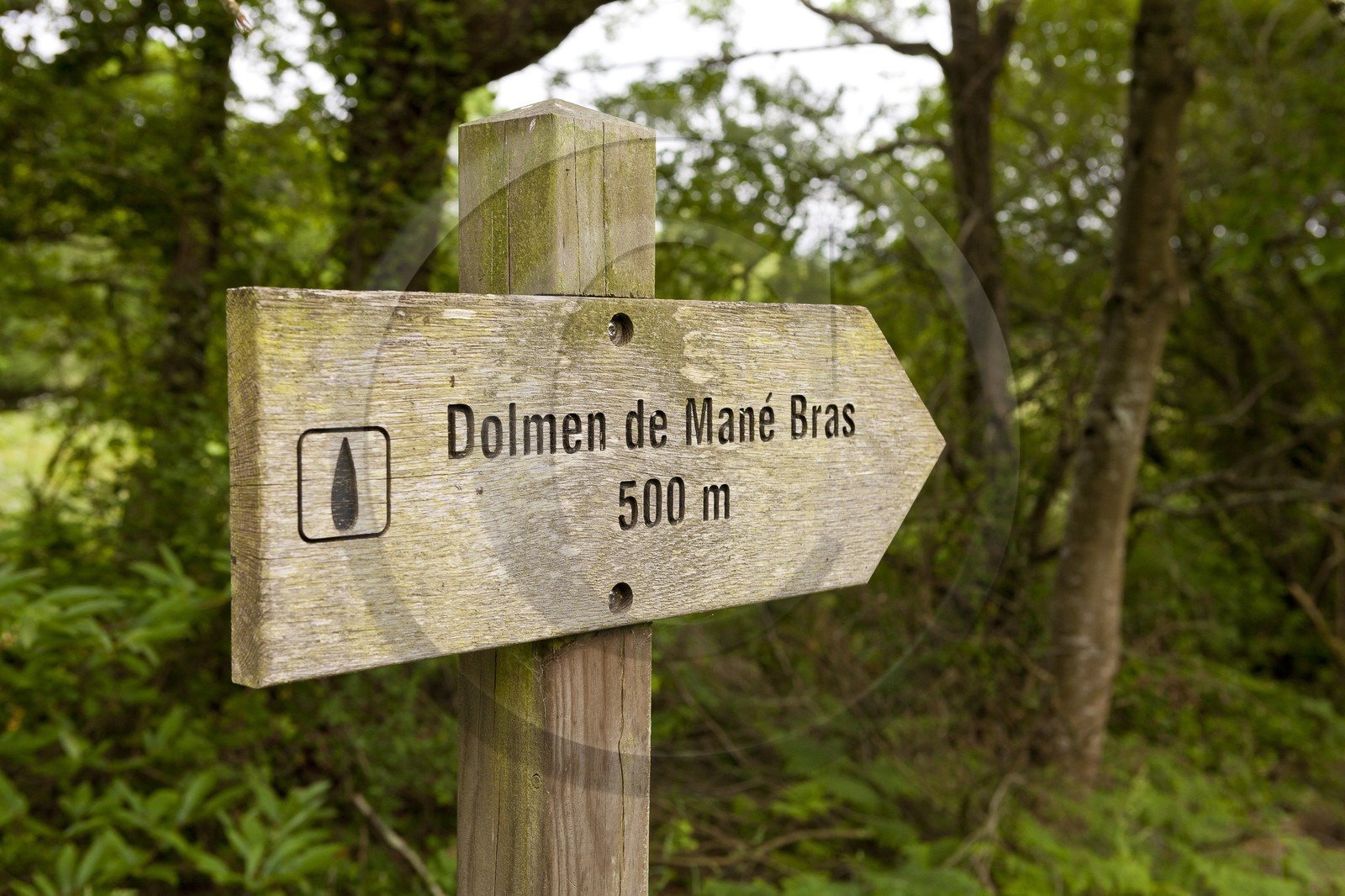 Le dolmen de Mane Braz _ la Trinite sur mer.