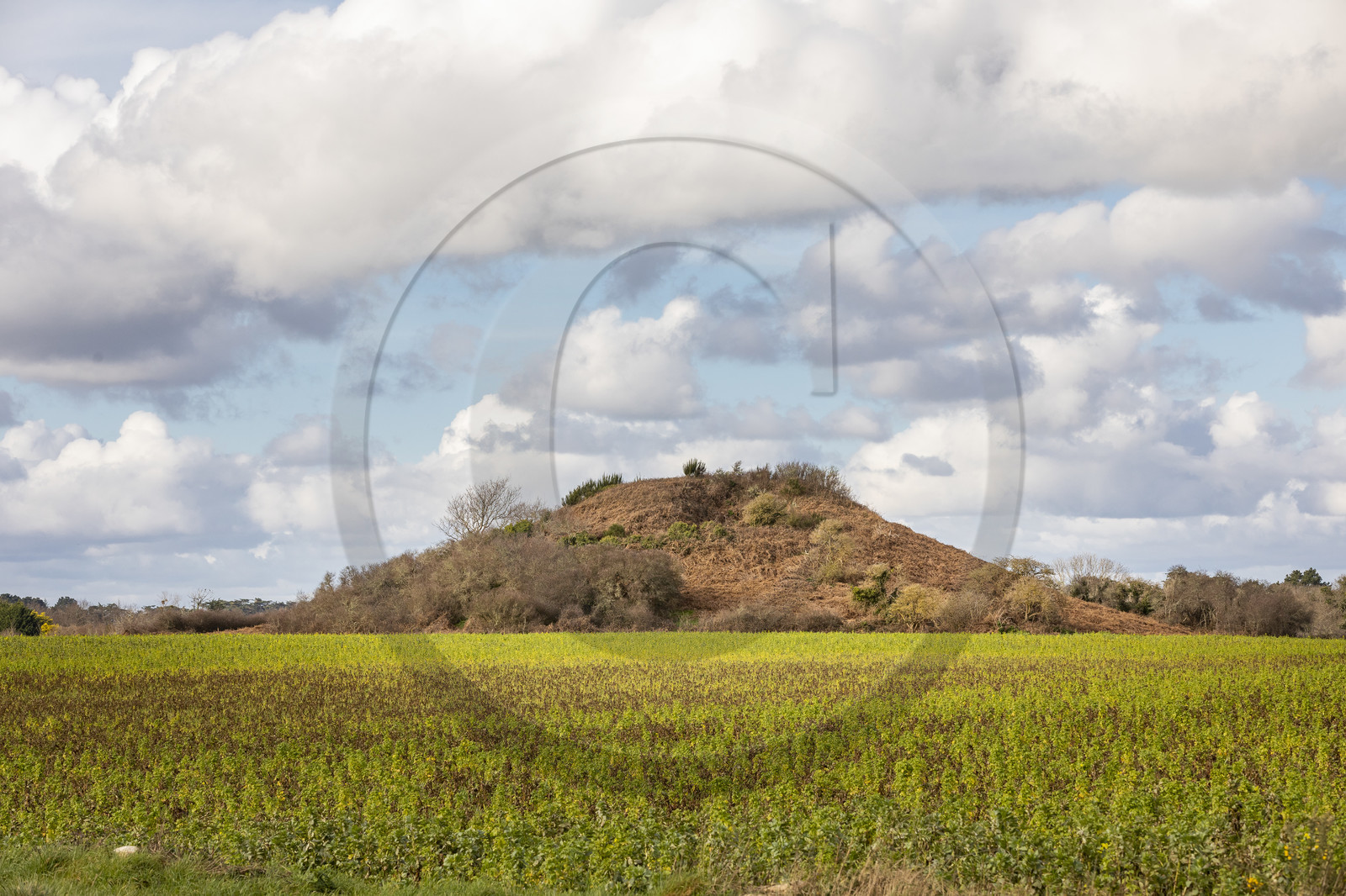 Tumulus de Tumiac à Arzon