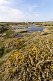 Pond of Loch _Guidel