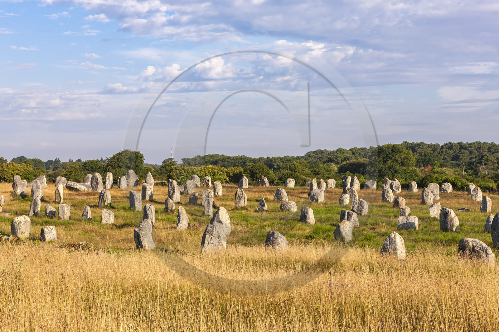 Alignements de menhirs du Ménec à Carnac