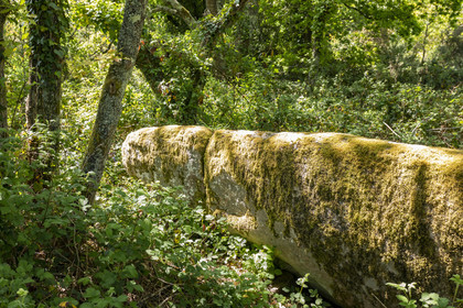Dolmen de Men Hiaul (Kerblay) à Sarzeau