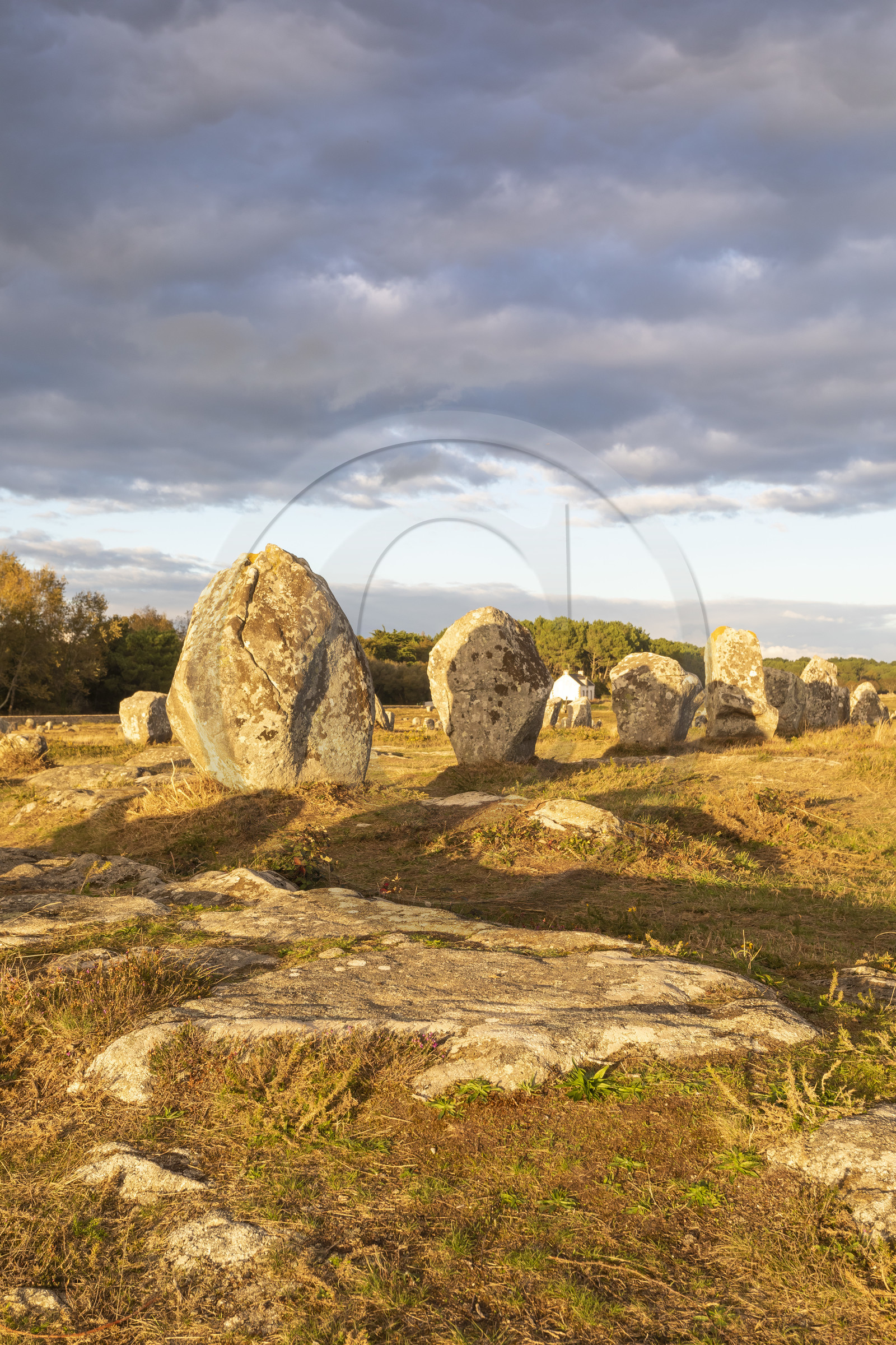 Les alignements du Ménec à Carnac