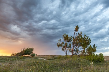 Grand site dunaire Gavres-Quiberon
