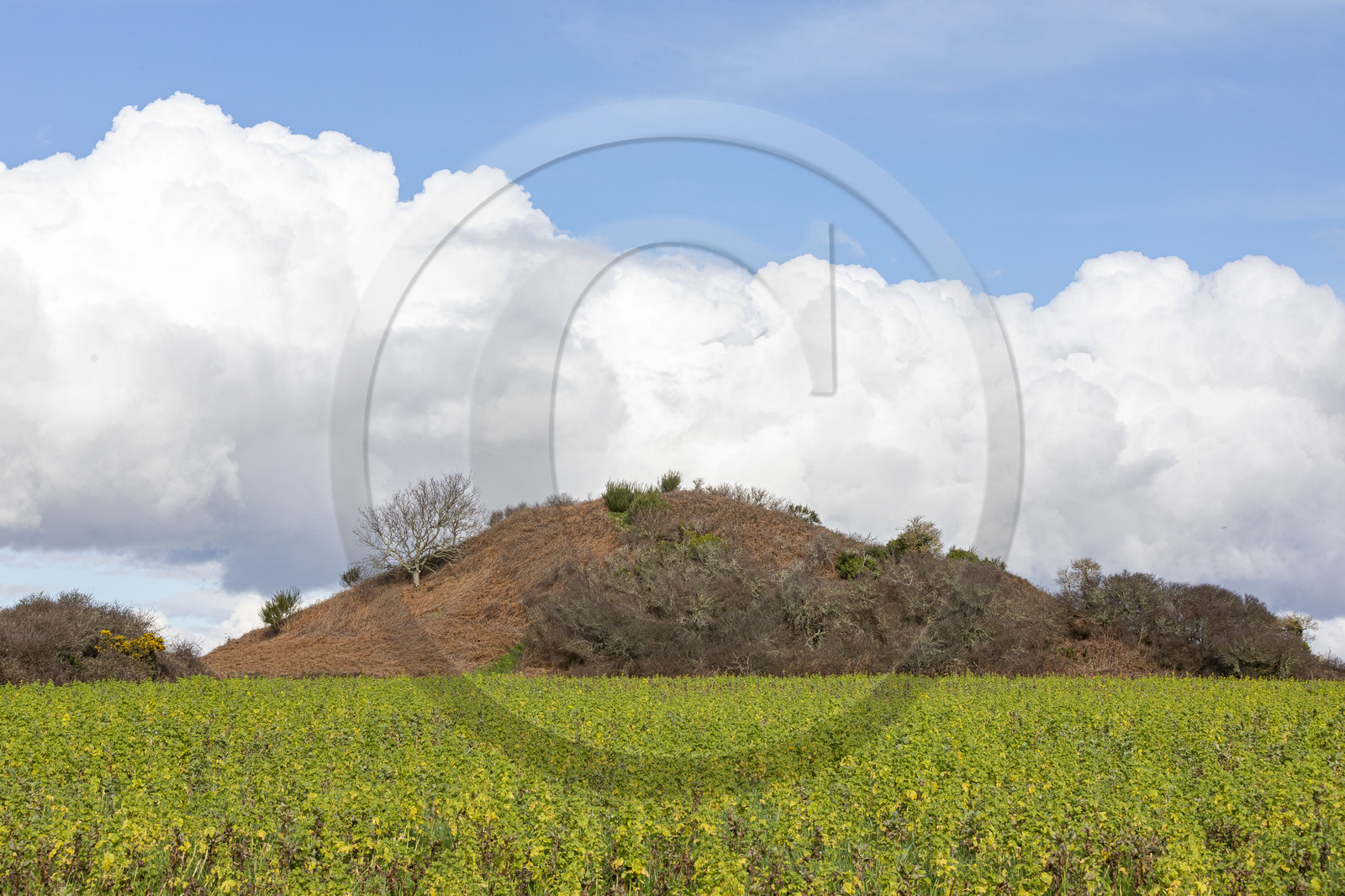 Tumulus de Tumiac à Arzon