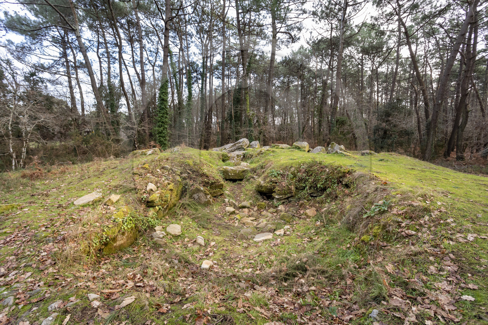 Le dolmen de Mané-Ven-Guen ou Toulvern situé à Baden