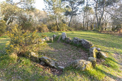 Le site mégalithiques de Mané Roulad à Ploemel