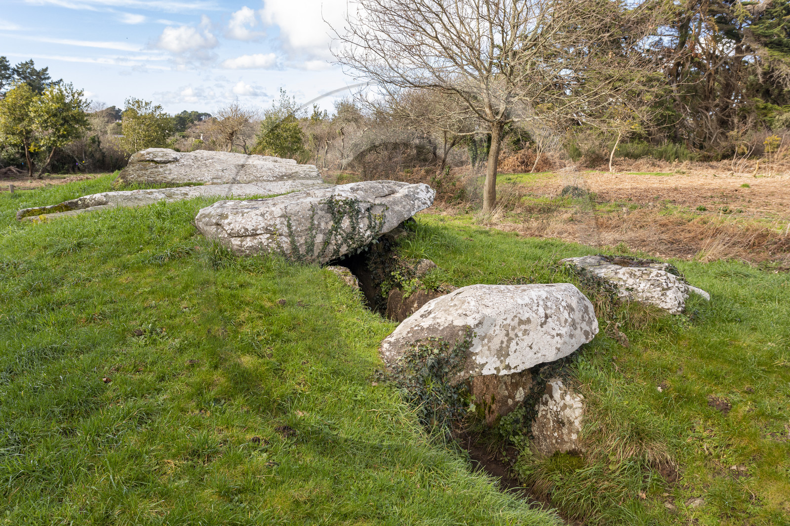 Dolmen du Graniol à Arzon
