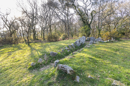 Le site mégalithiques de Mané Bogad à Ploemel