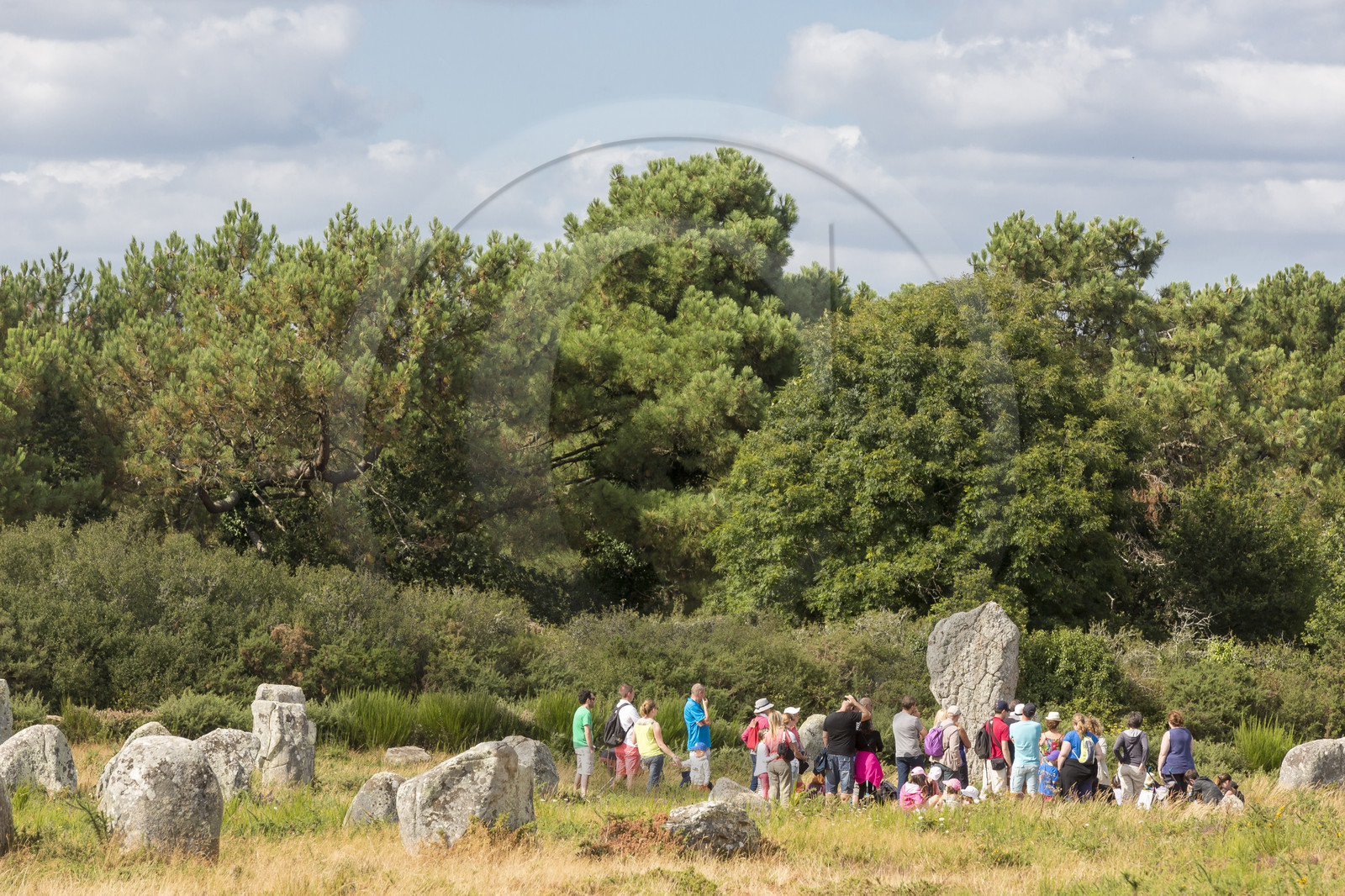 les alignements du Menec à Carnac